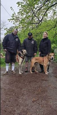 Harte Hunde im Tierheim Saarbrücken